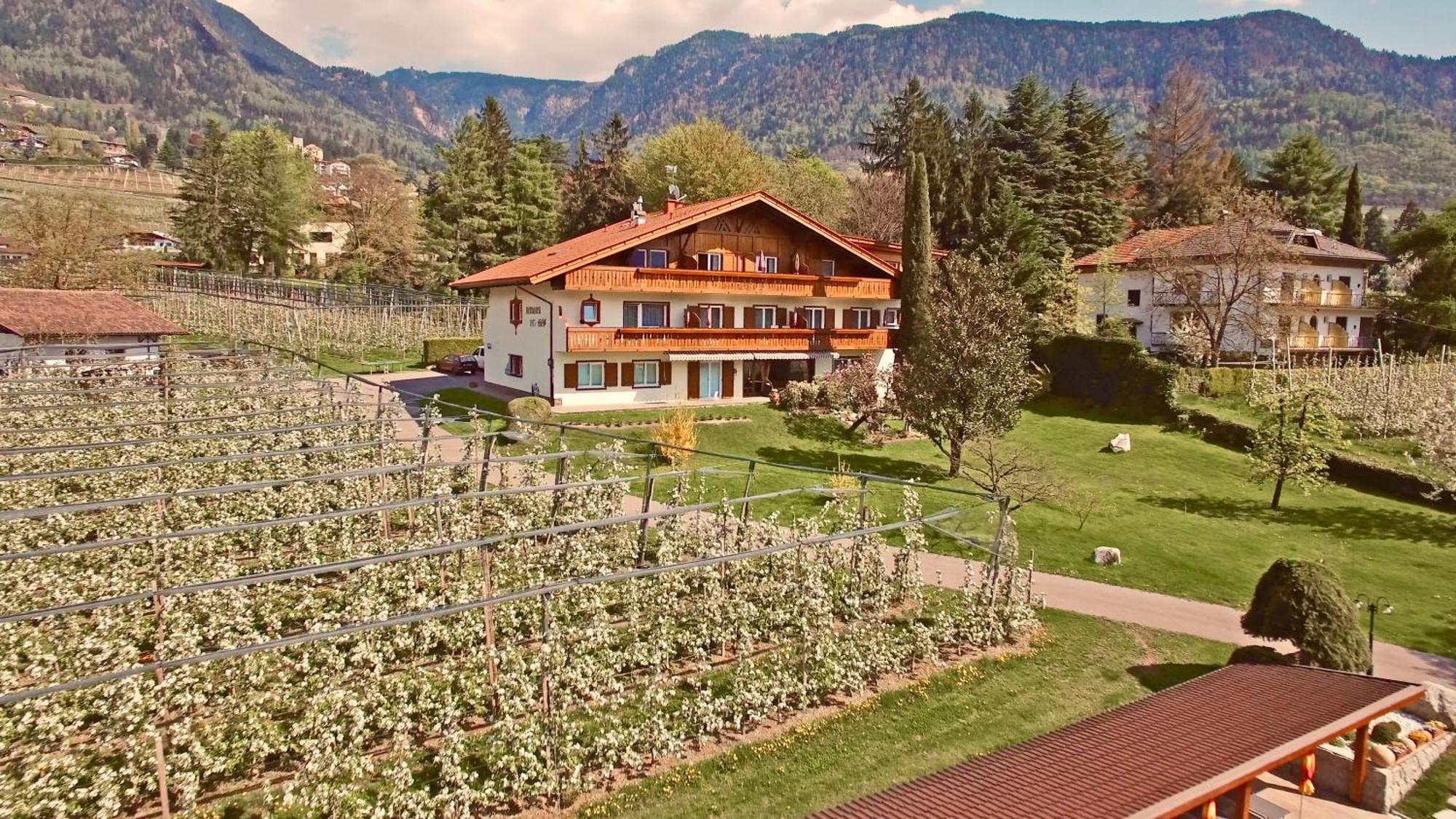 Residence Neuhaeuslhof Merano Bagian luar foto